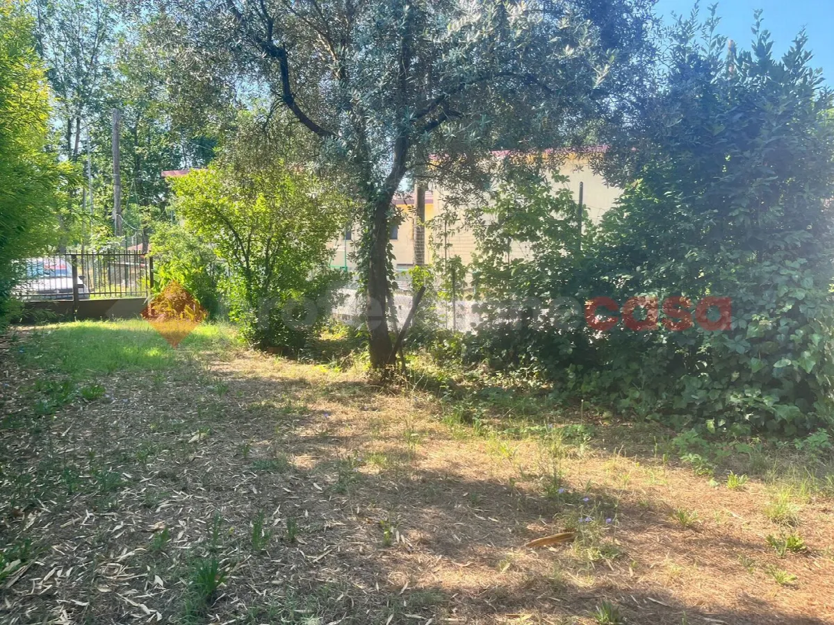 Casa indipendente in vendita a Sant'Apollinare - foto 7