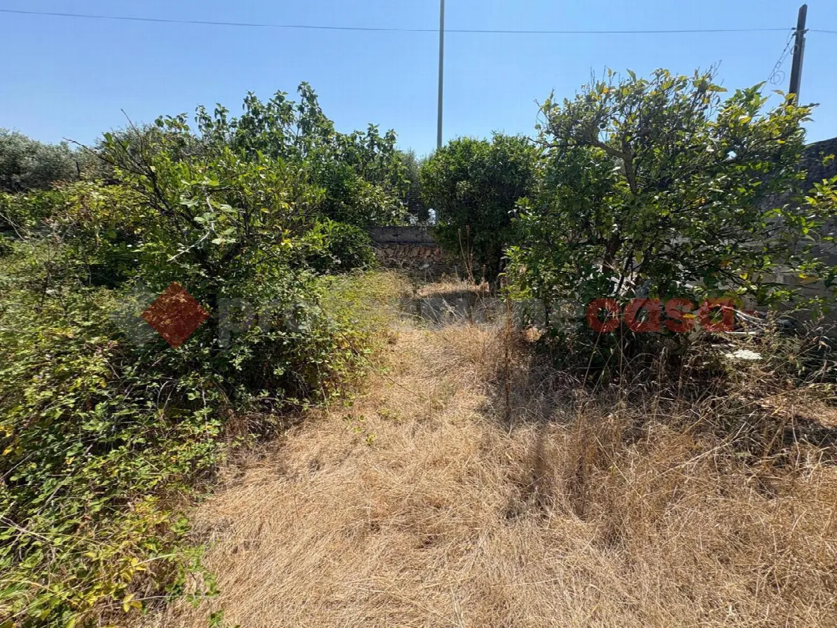 Villetta a schiera in vendita a Pulsano - foto 7