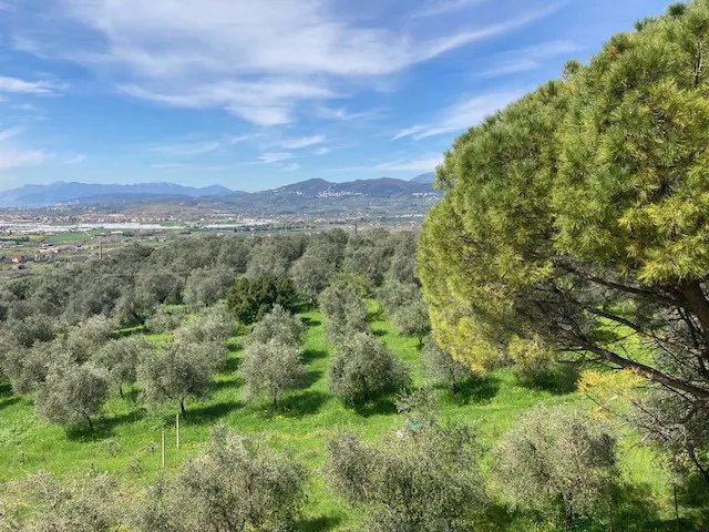 Villetta a schiera in vendita a Olevano sul Tusciano - foto 5