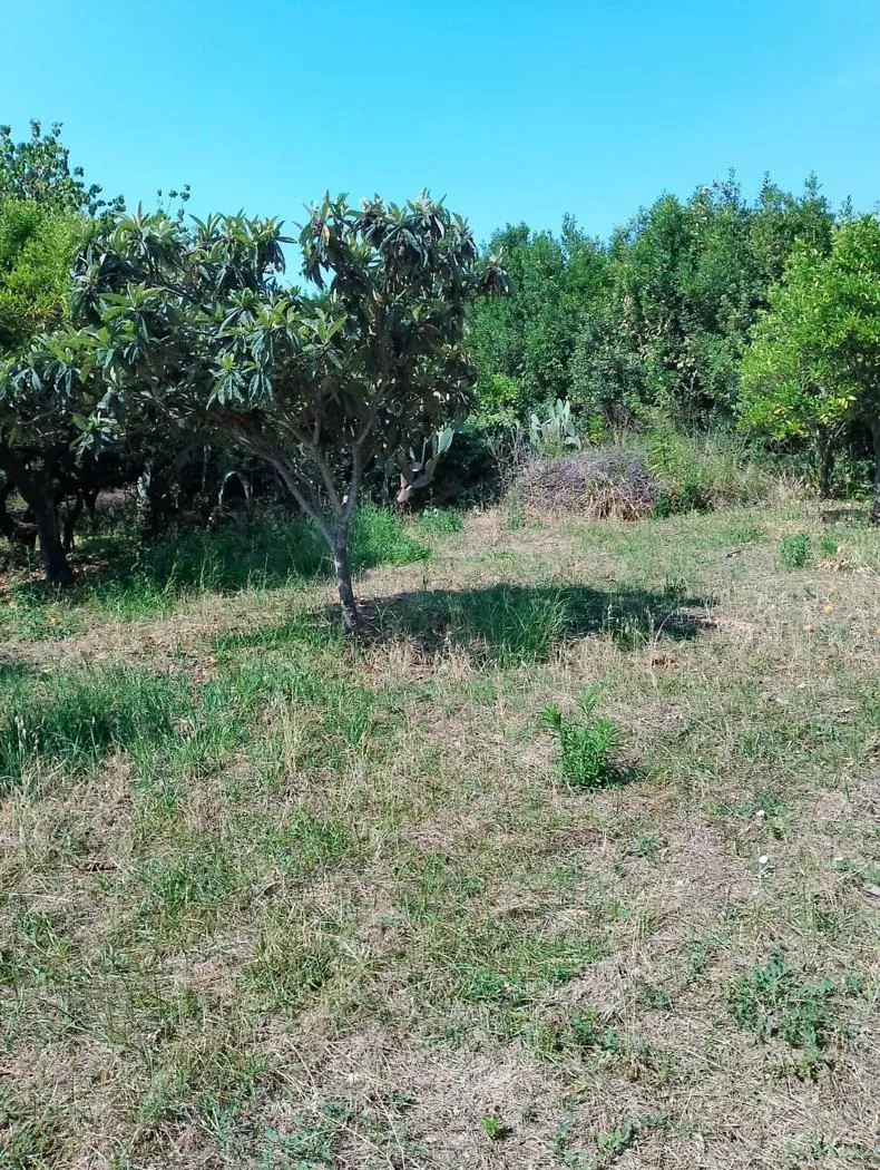 Rustico in vendita a Pontecagnano Faiano - foto 5