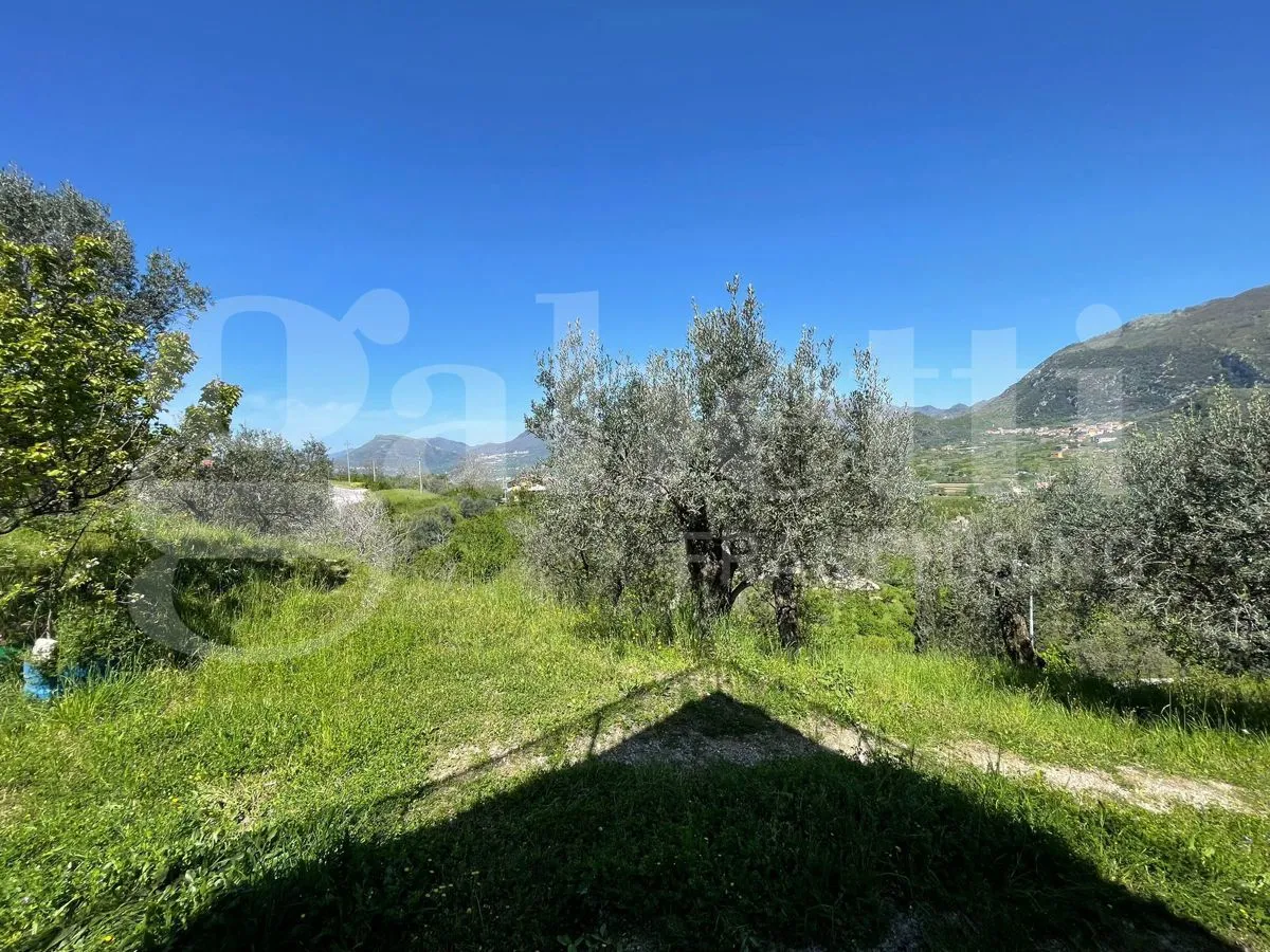 Villa in vendita a Montecorvino Rovella - foto 3