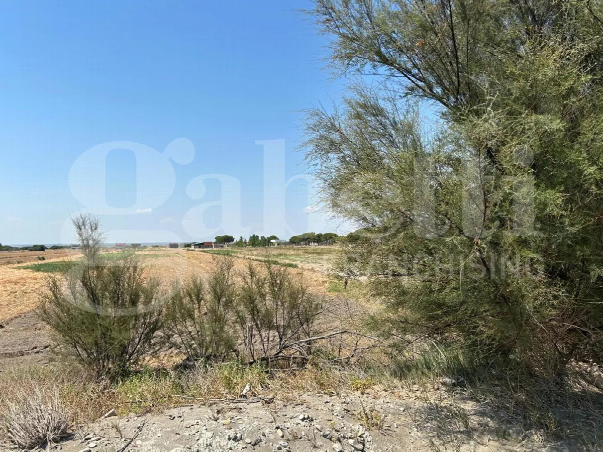 Casa indipendente in vendita a Margherita di Savoia - foto 8