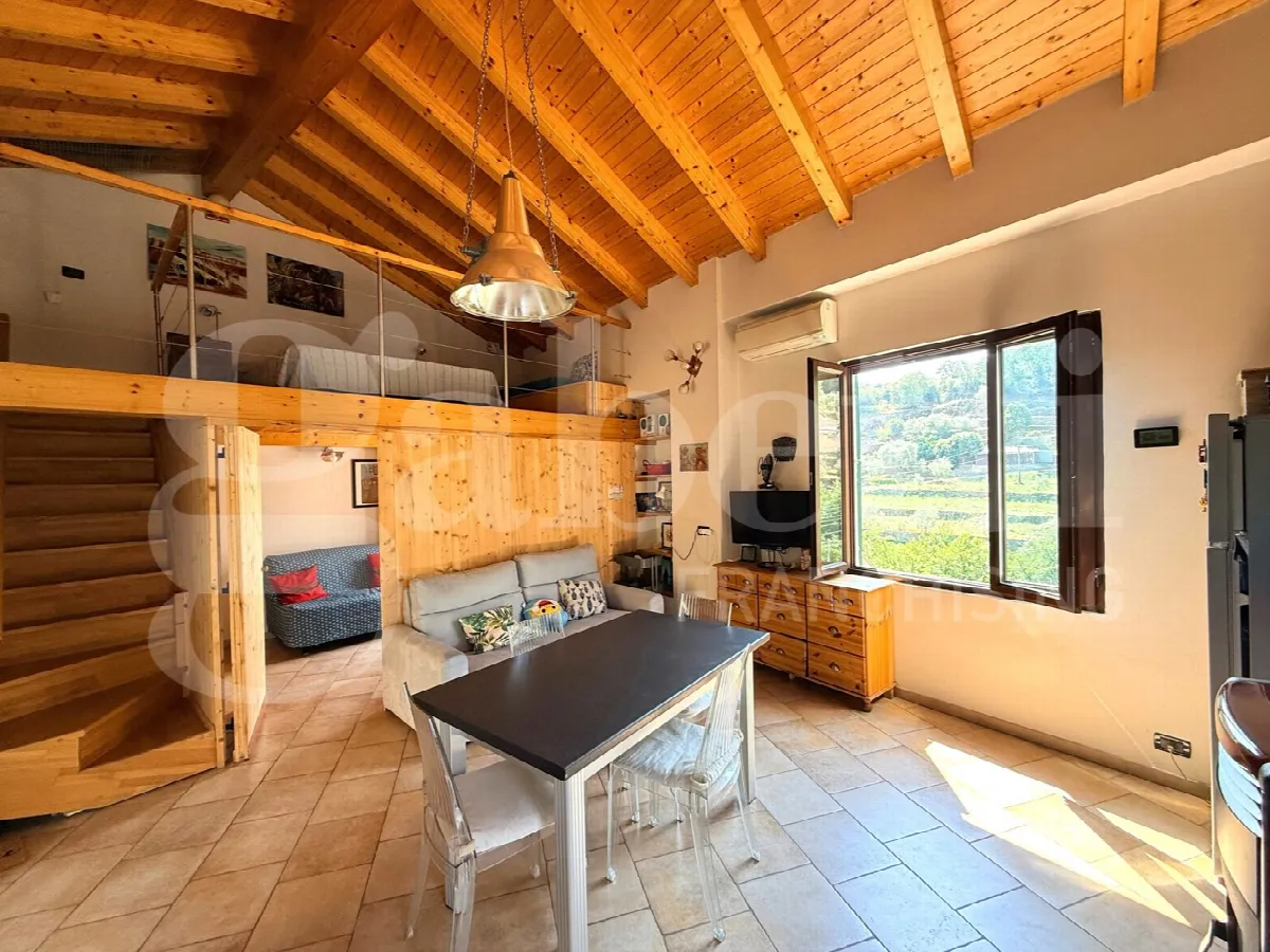 Casa indipendente in vendita a Borgomaro - foto 5