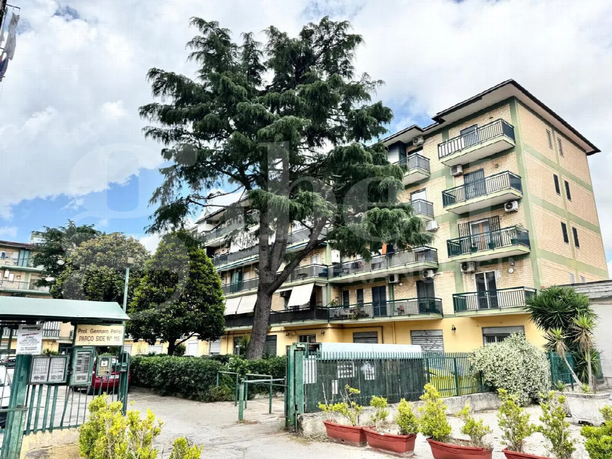 Appartamento in vendita a Arzano - foto 1