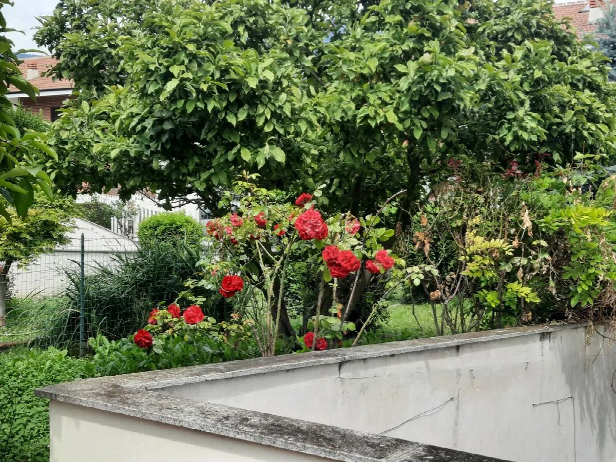 Villetta a schiera in vendita a Avigliana - foto 3