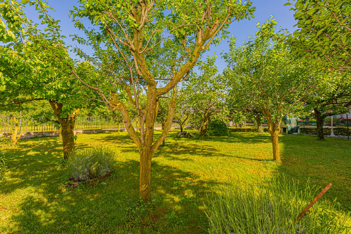 Casa bifamiliare in vendita a Caselette - foto 8