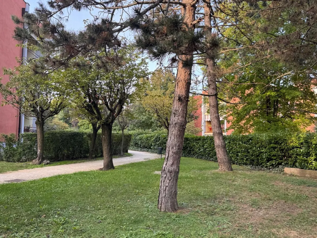Appartamento in vendita a Alpignano - foto 4