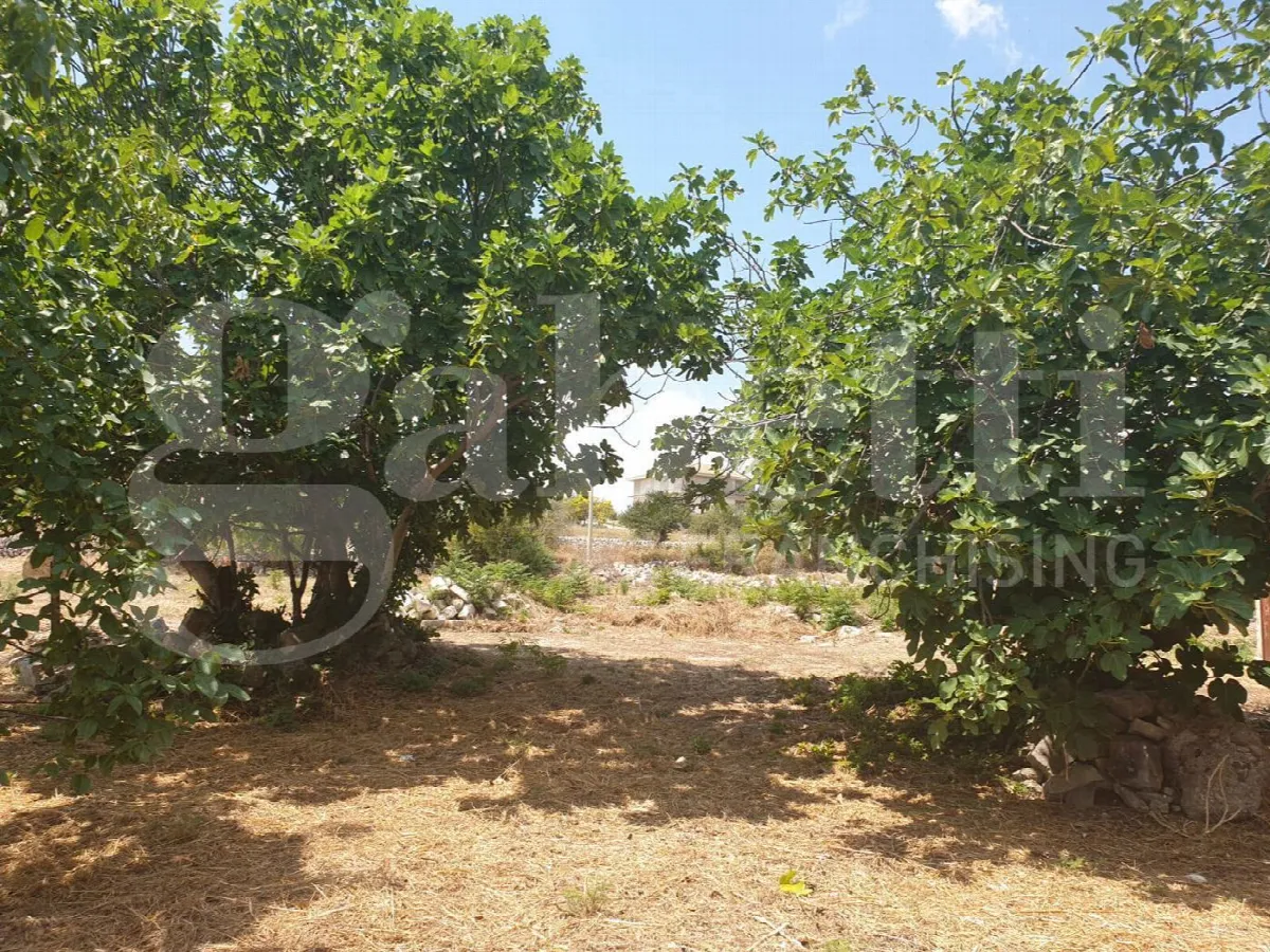 Villetta a schiera in vendita a Noto - foto 5