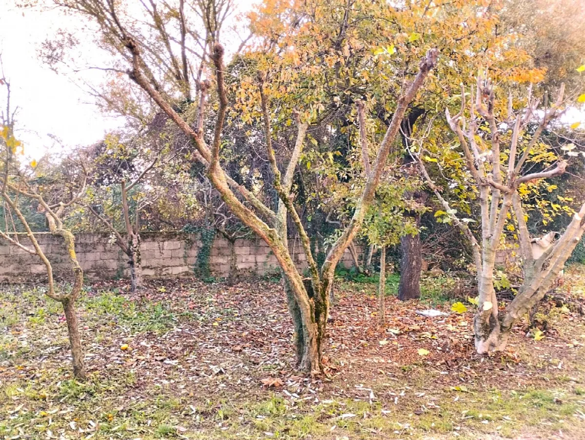 Appartamento in vendita a Avezzano - foto 6