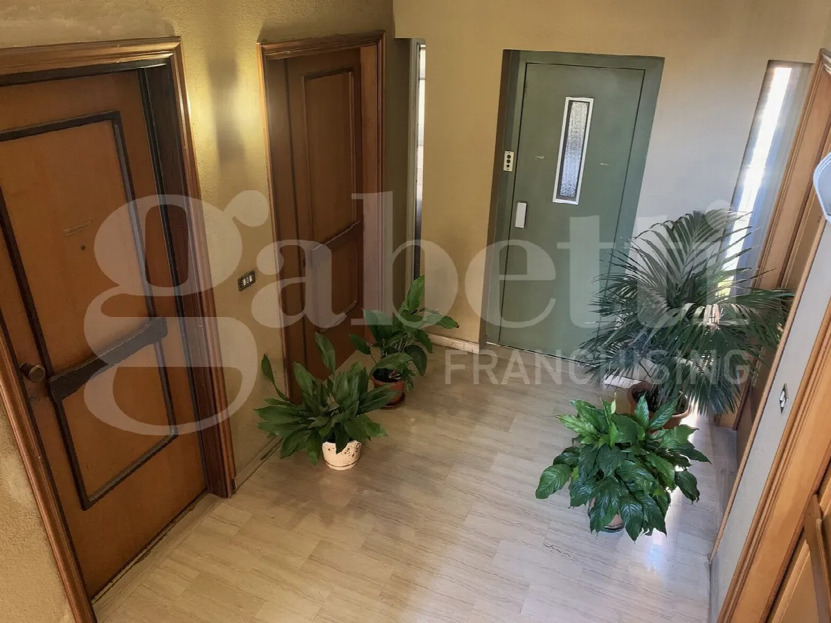 Appartamento in vendita a Avezzano - foto 6