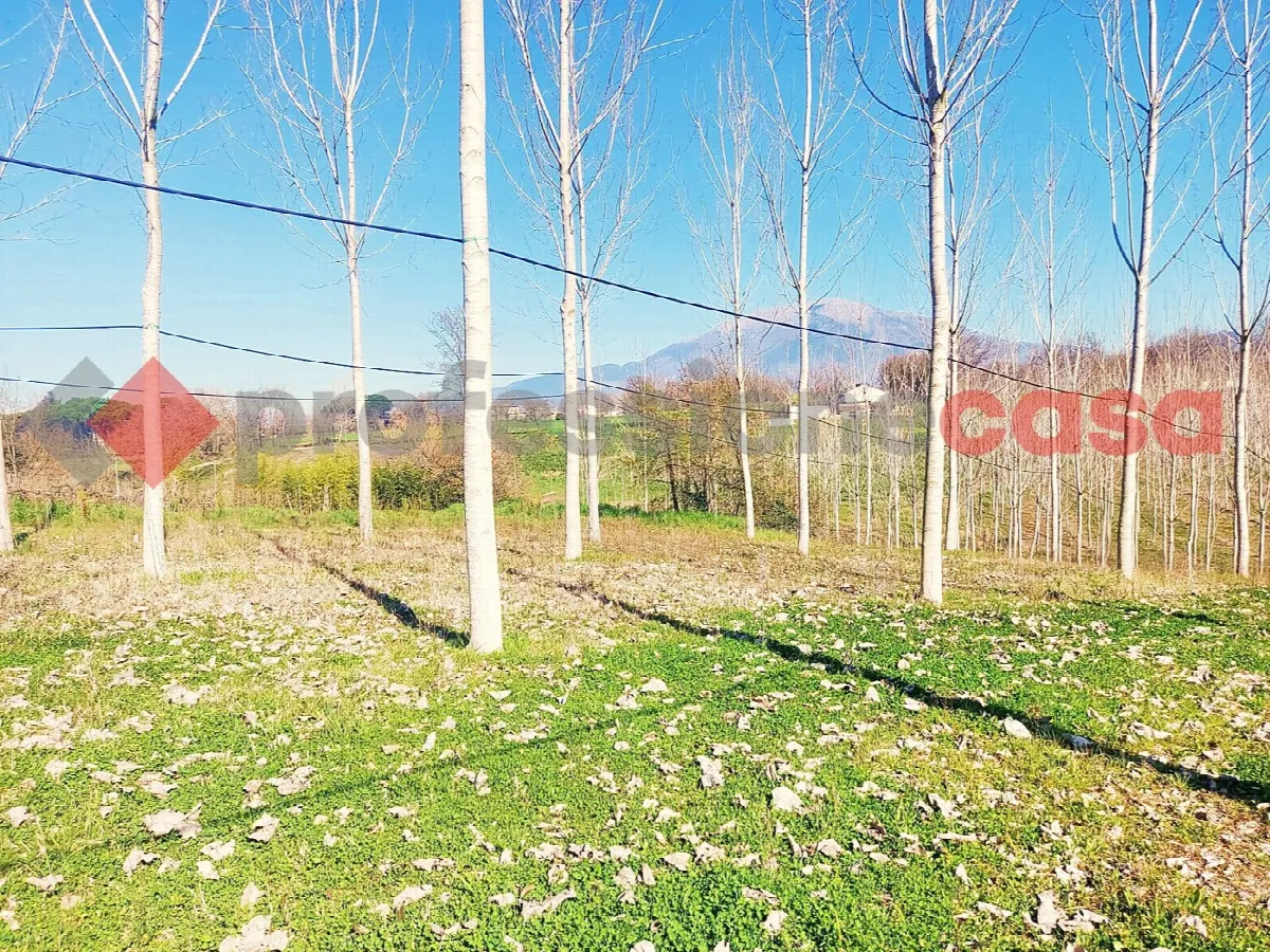 Rustico in vendita a Pignataro Interamna - foto 2