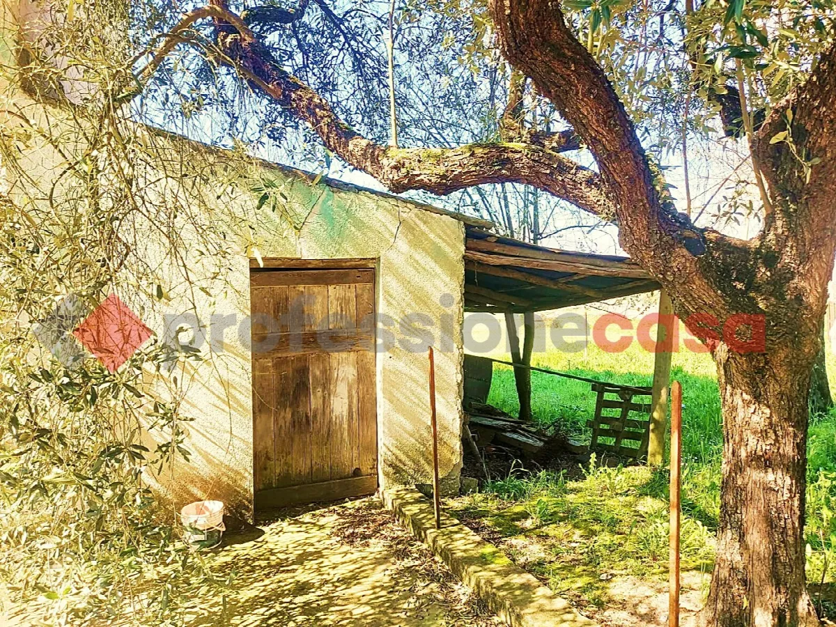 Casa indipendente in vendita a Rocca d'Evandro - foto 8