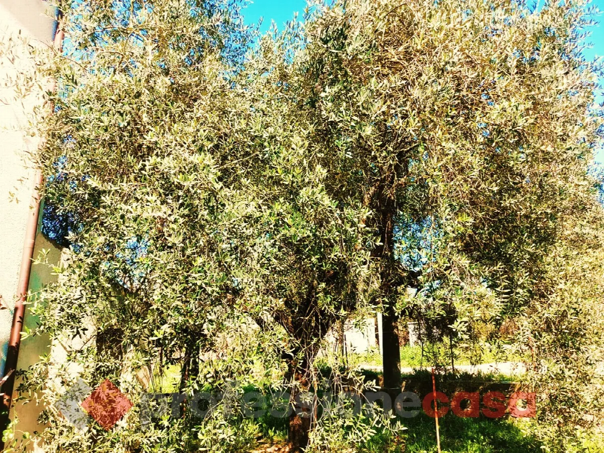 Casa indipendente in vendita a Rocca d'Evandro - foto 9
