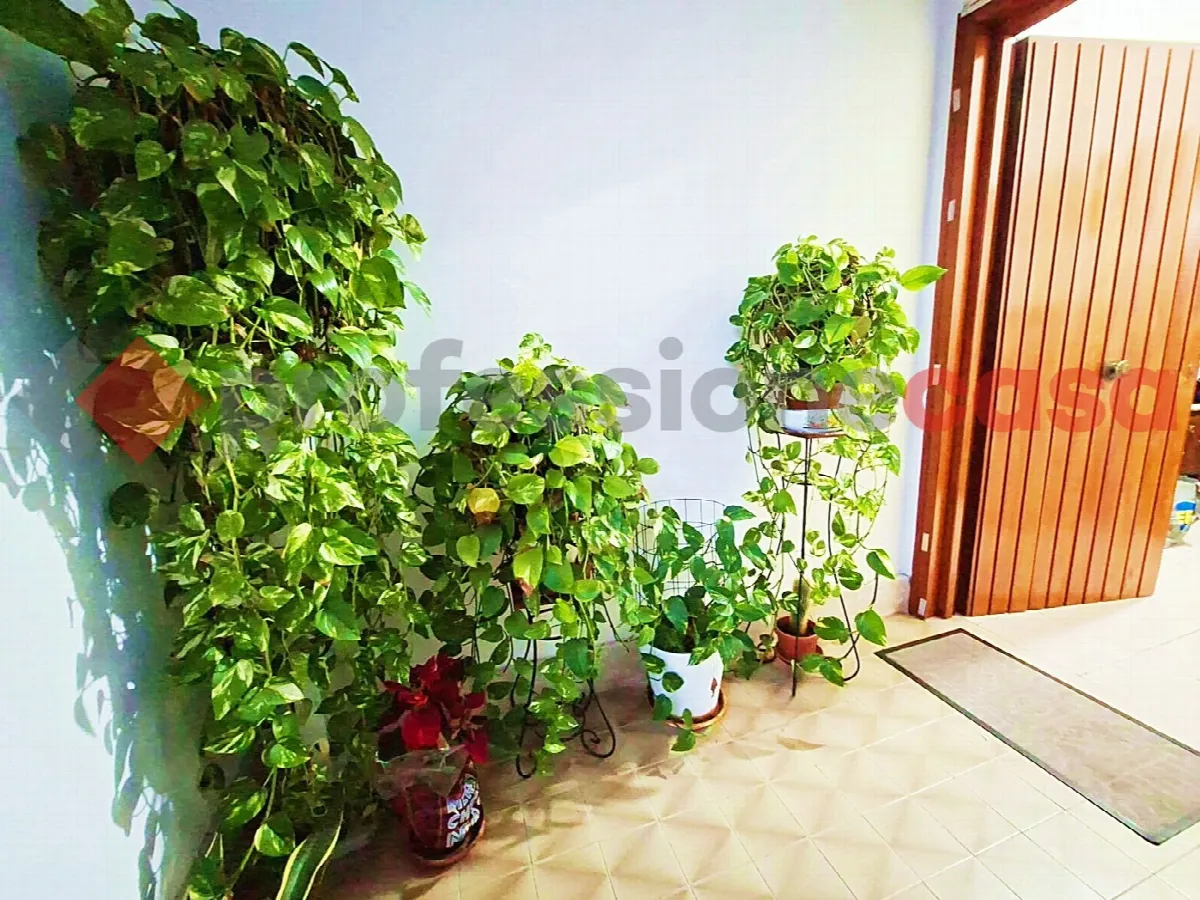 Appartamento in vendita a Piedimonte San Germano - foto 9