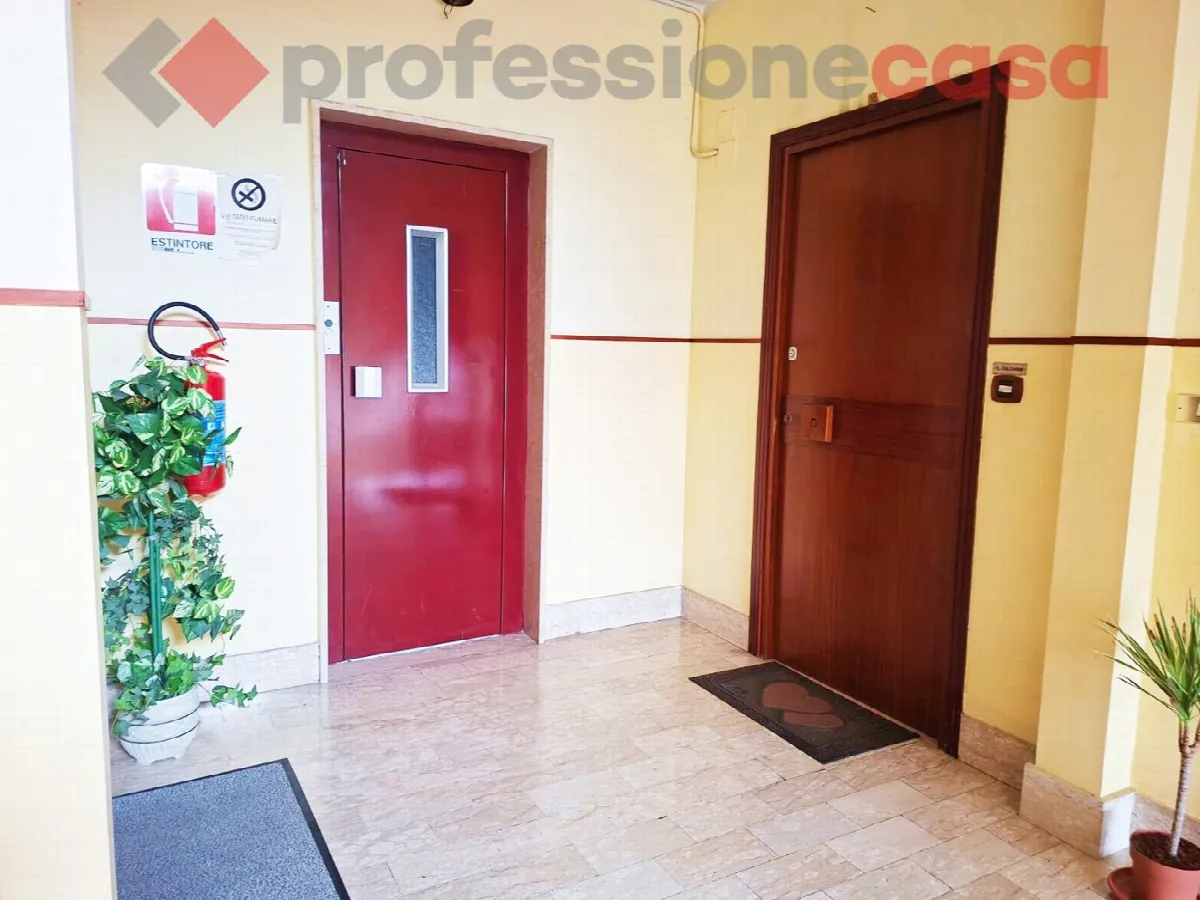 Appartamento in vendita a Aquino - foto 5