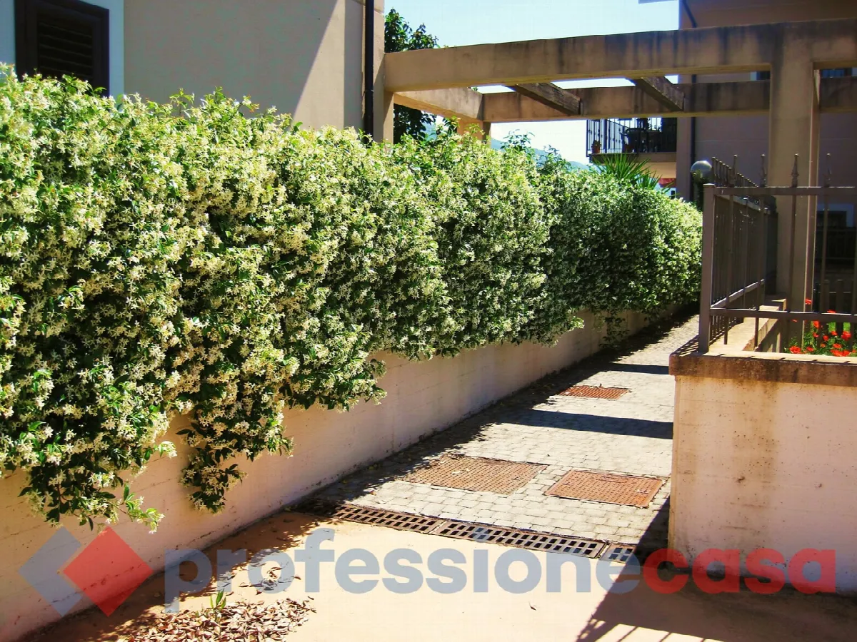 Appartamento in vendita a Piedimonte San Germano - foto 10