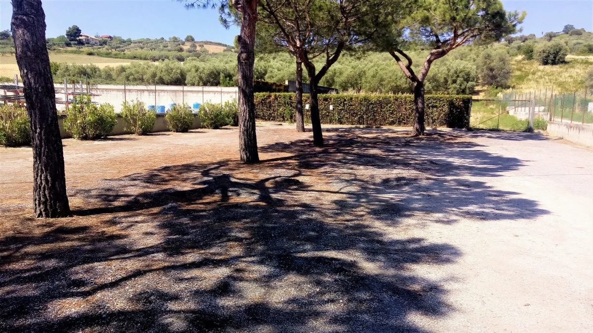Ufficio in vendita a Tortoreto - foto 3