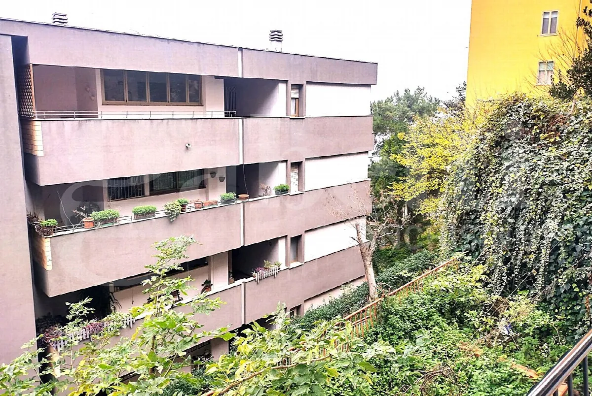 Appartamento in vendita a Chieti - foto 3