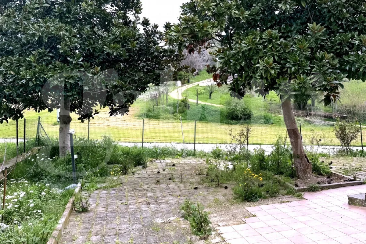 Casa indipendente in vendita a Pianella - foto 7