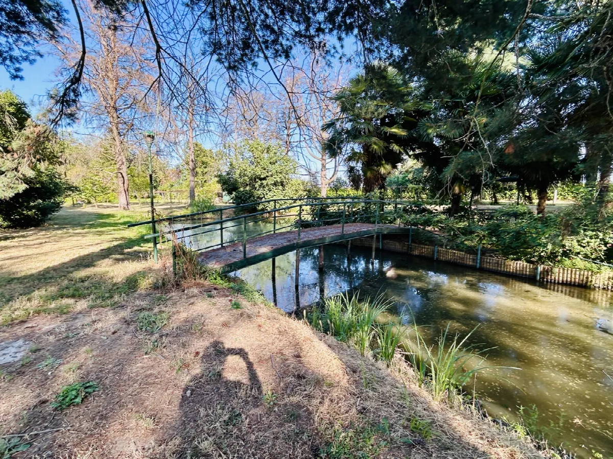 Casa indipendente in vendita a Gropello Cairoli - foto 9