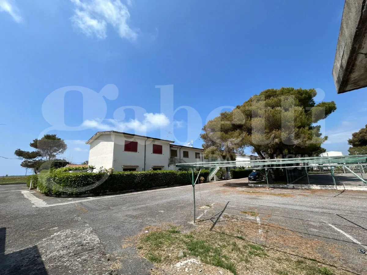 Appartamento in vendita a Santa Maria del Cedro - foto 1