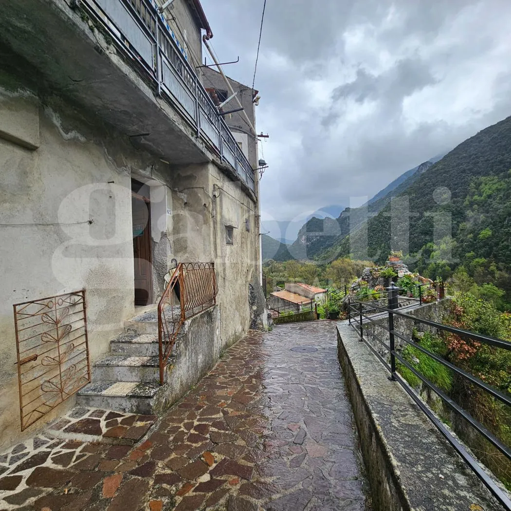 Appartamento in vendita a Orsomarso - foto 2
