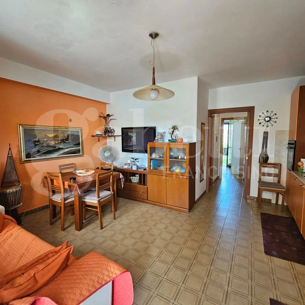 Appartamento in vendita a Santa Maria del Cedro - foto 3