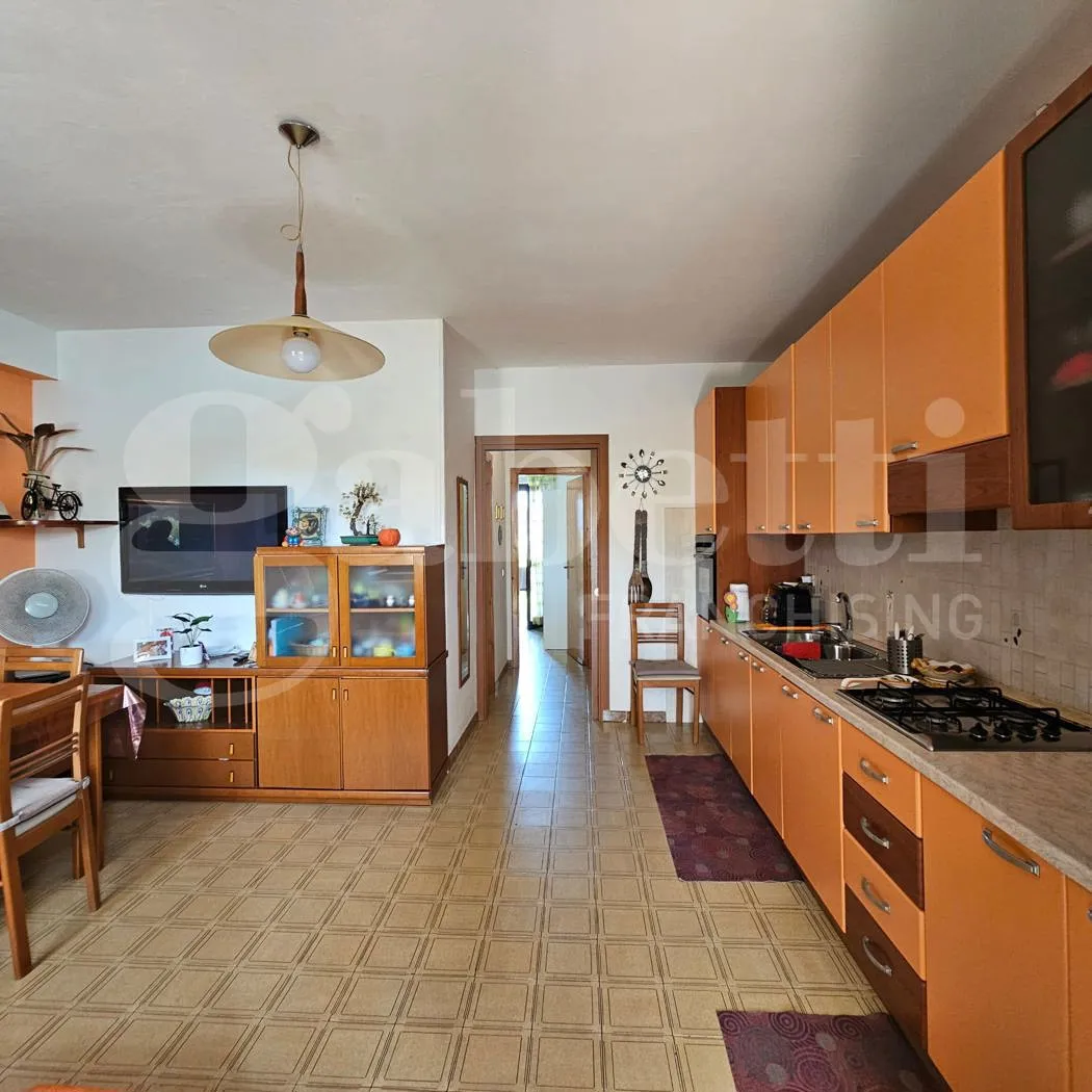 Appartamento in vendita a Santa Maria del Cedro - foto 6