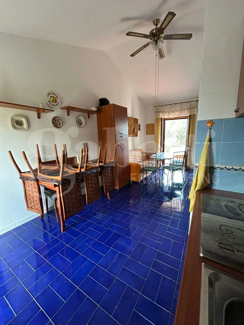 Appartamento in vendita a San Nicola Arcella - foto 3