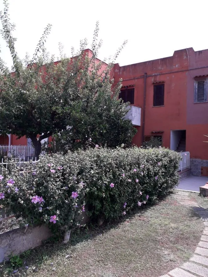 Appartamento in vendita a San Nicola Arcella - foto 1