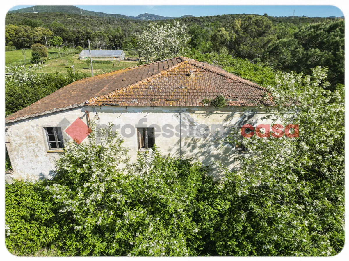 Casa indipendente in vendita a Livorno - foto 3