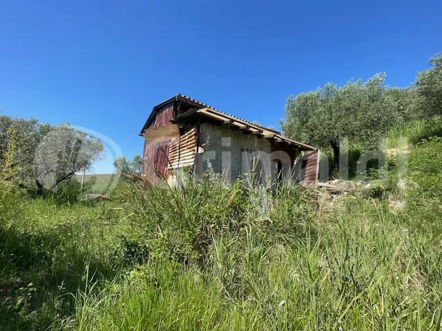 Rustico in vendita a Mentana - foto 1