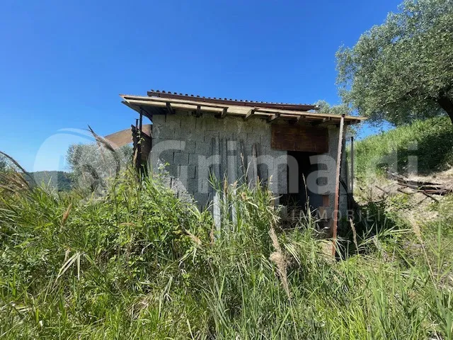Rustico in vendita a Mentana - foto 2