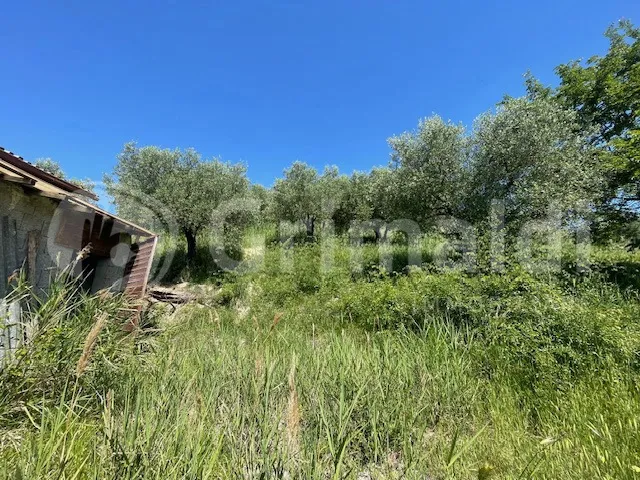 Rustico in vendita a Mentana - foto 7