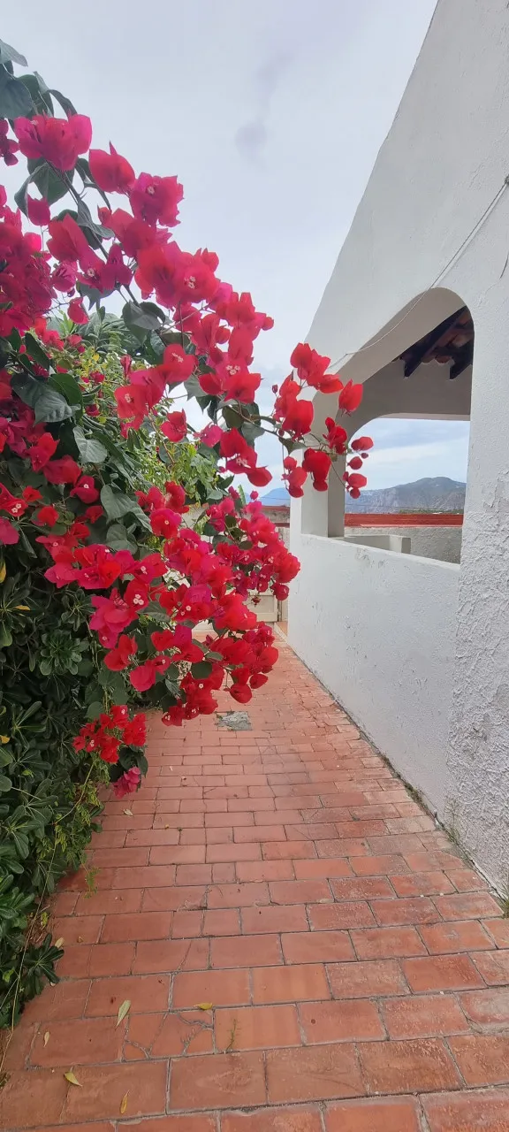 Casa bifamiliare in vendita a Lipari - foto 3