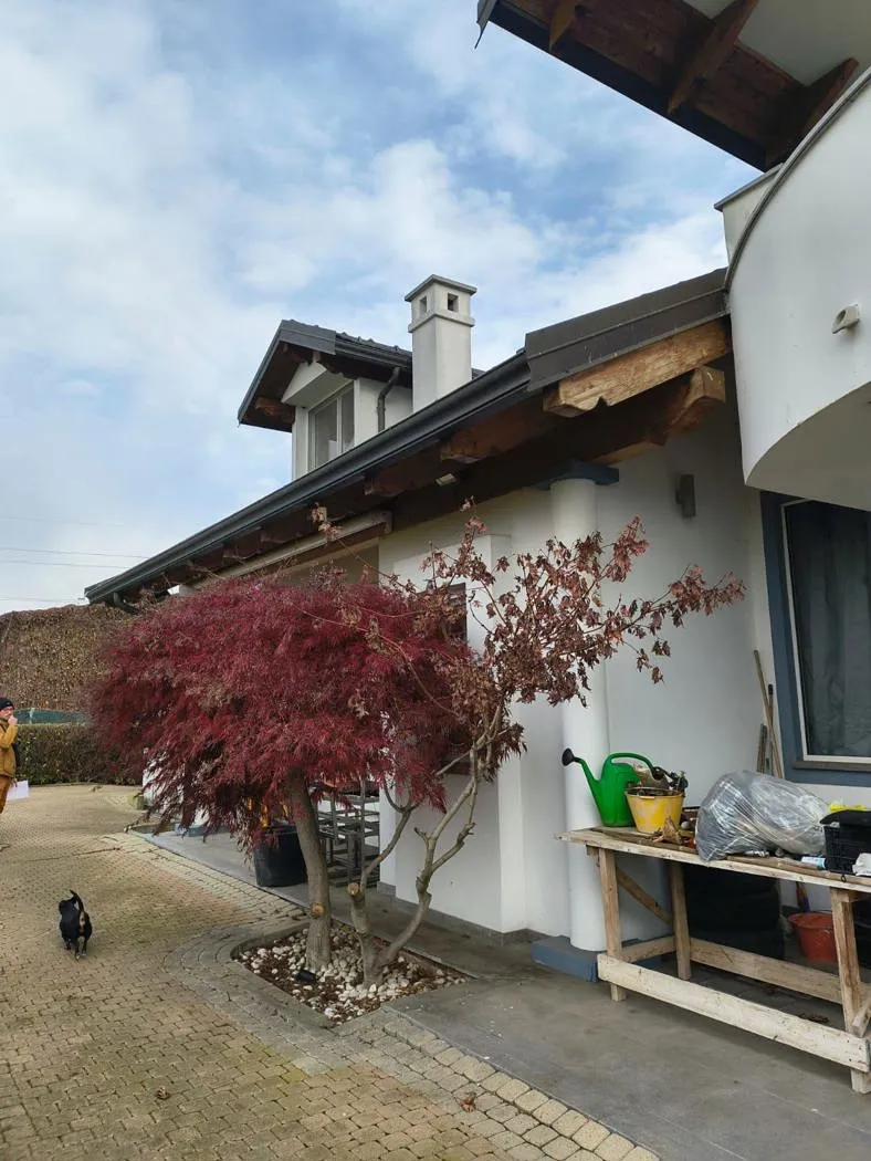 Appartamento in vendita a Nichelino - foto 10