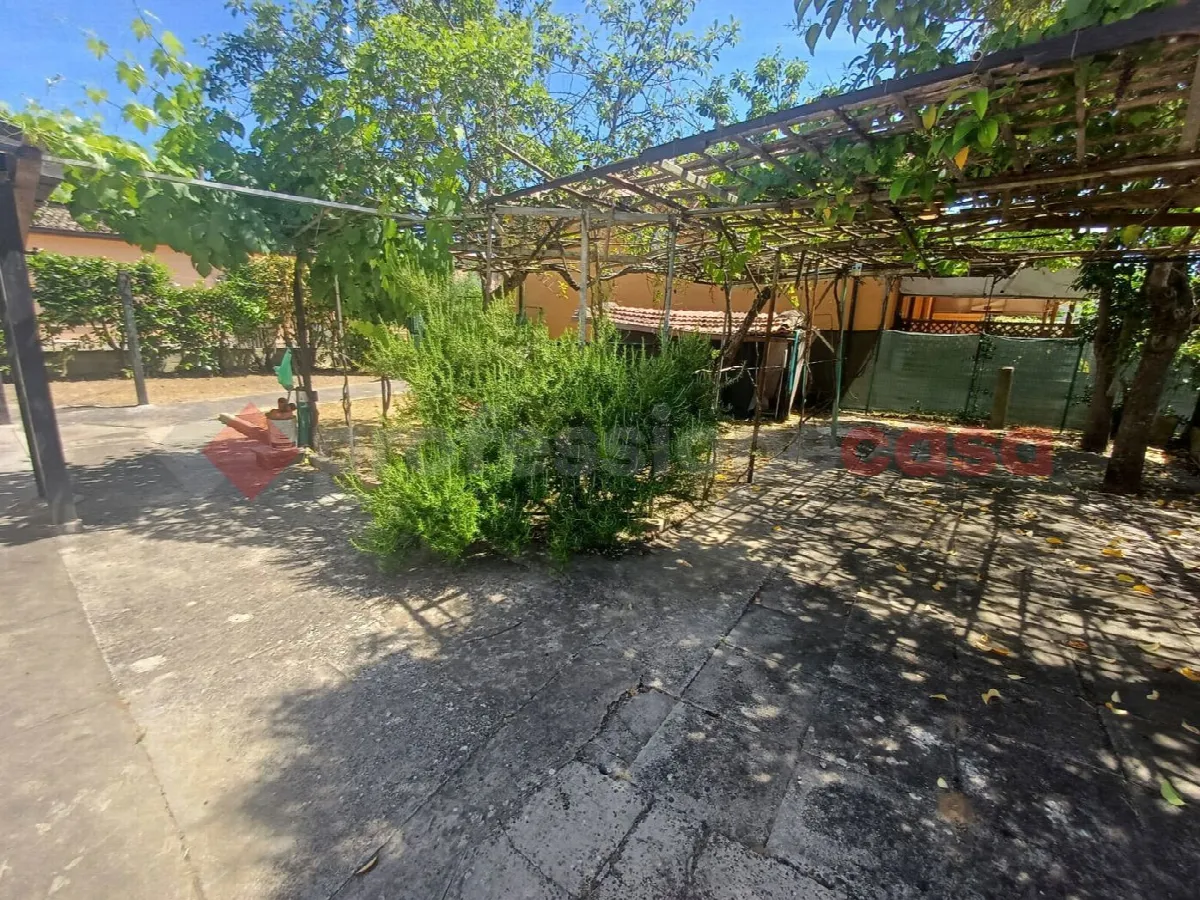 Casa indipendente in vendita a Ceprano - foto 6