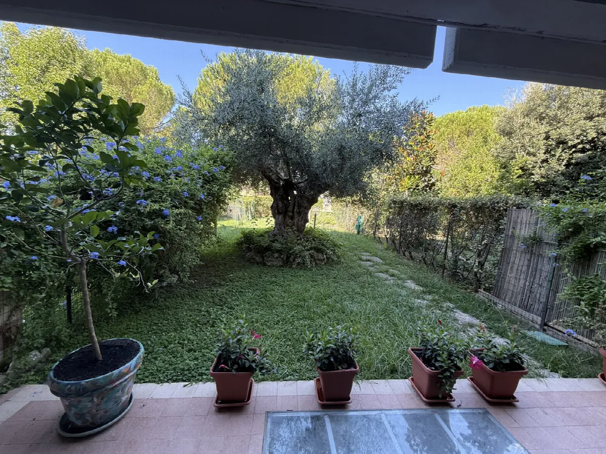 Villetta a schiera in vendita a Grosseto - foto 1