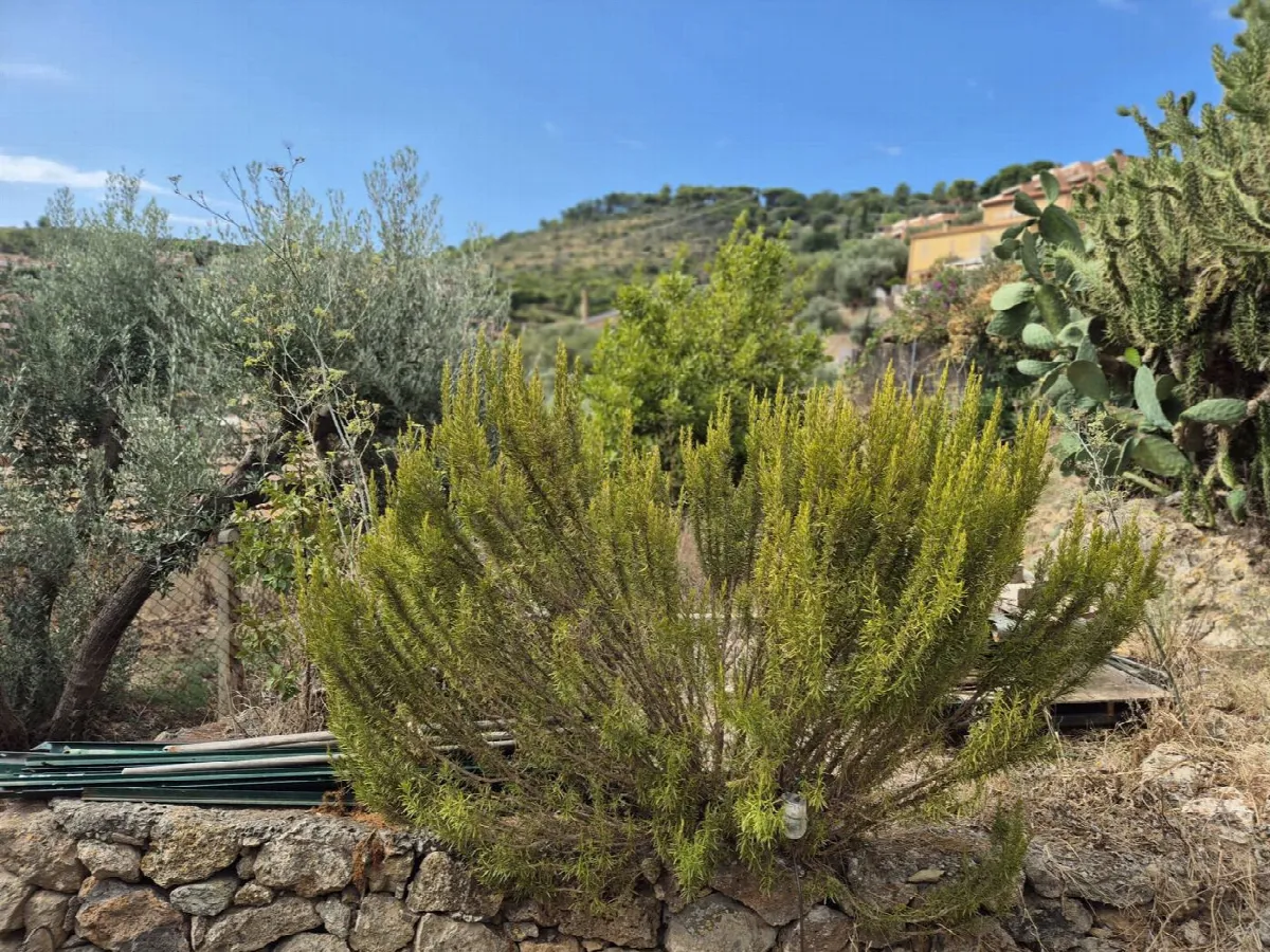 Casa indipendente in vendita a Monte Argentario - foto 10