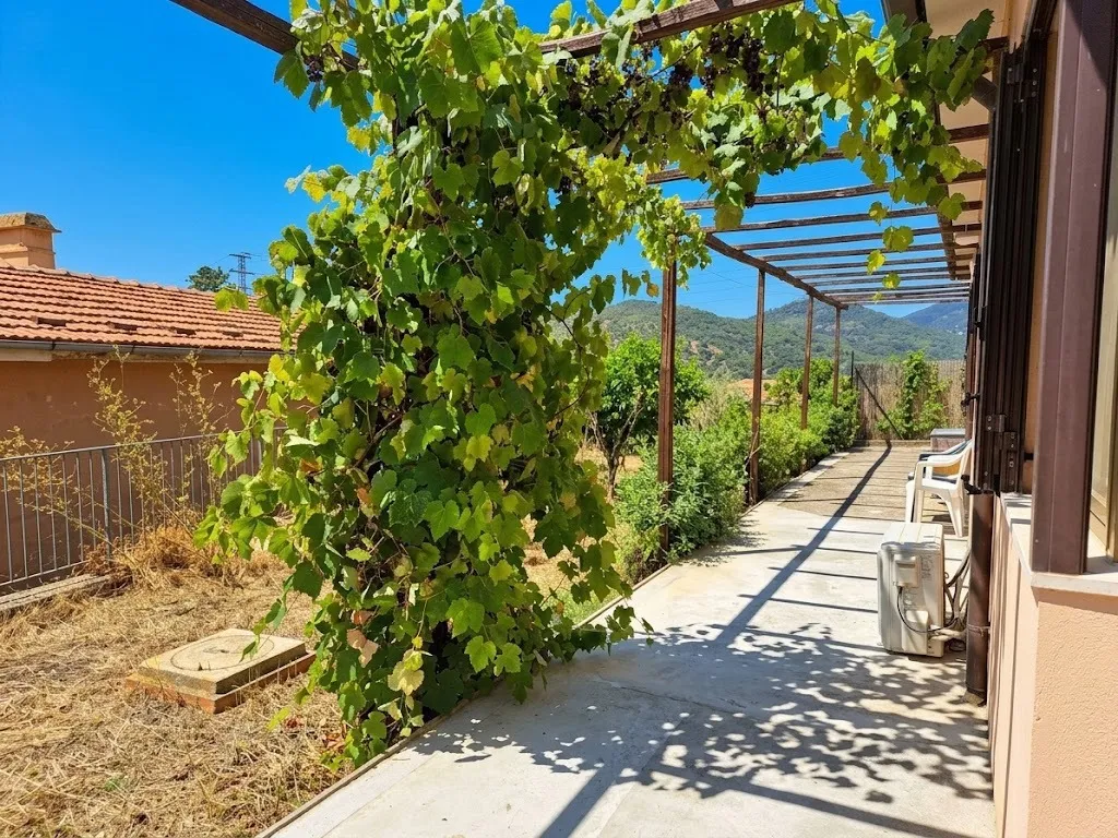 Casa indipendente in vendita a Monte Argentario - foto 5