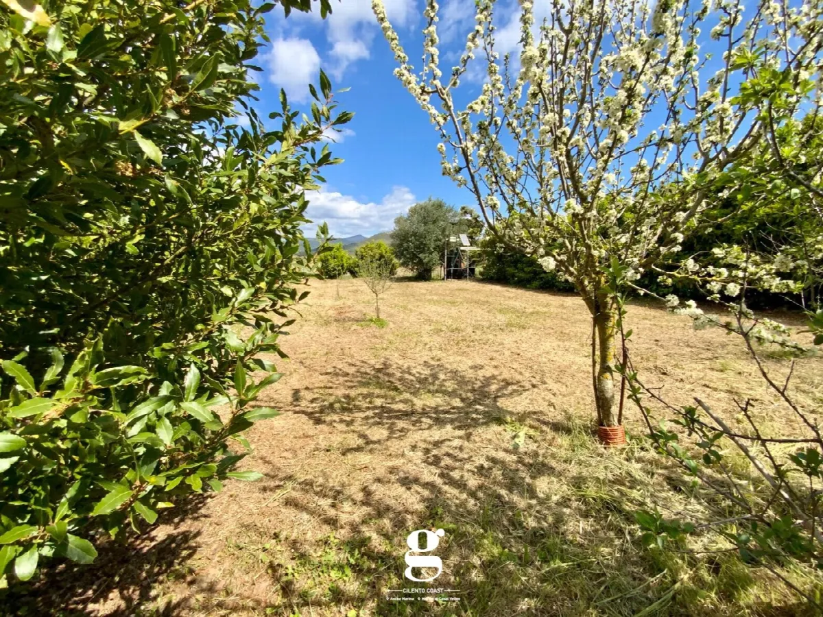 Casa bifamiliare in vendita a Casal Velino - foto 8
