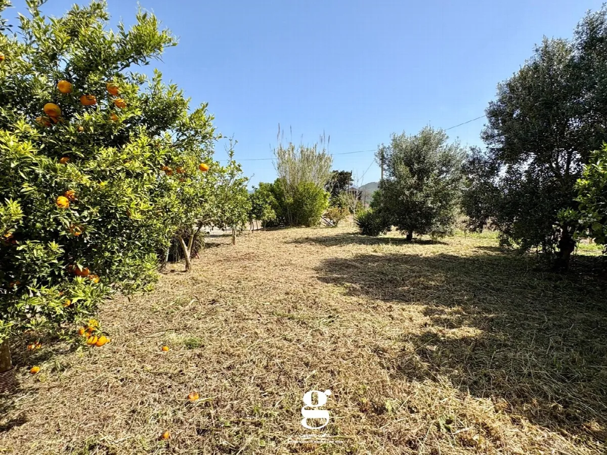Casa bifamiliare in vendita a Casal Velino - foto 9