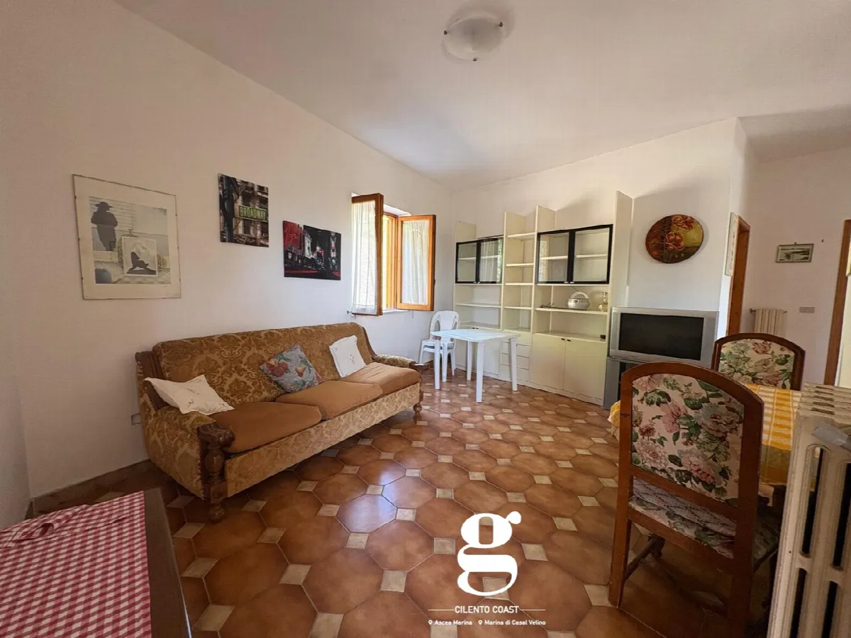 Casa indipendente in vendita a Casal Velino - foto 5