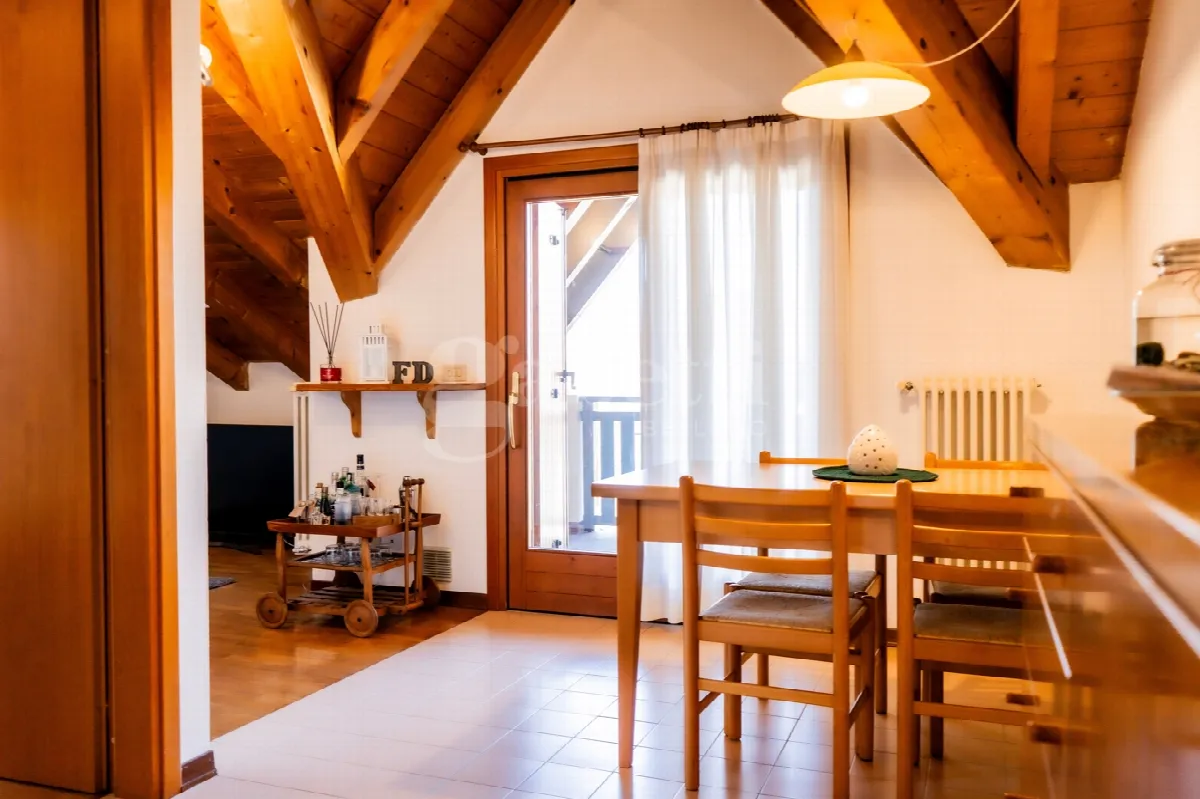 Appartamento in vendita a Belluno - foto 1