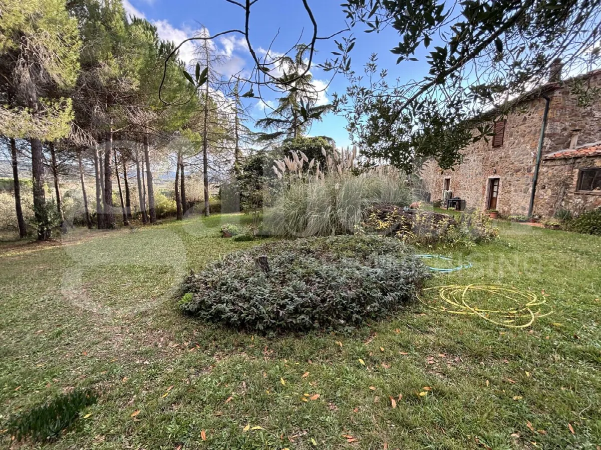 Rustico in vendita a Massa Marittima - foto 3