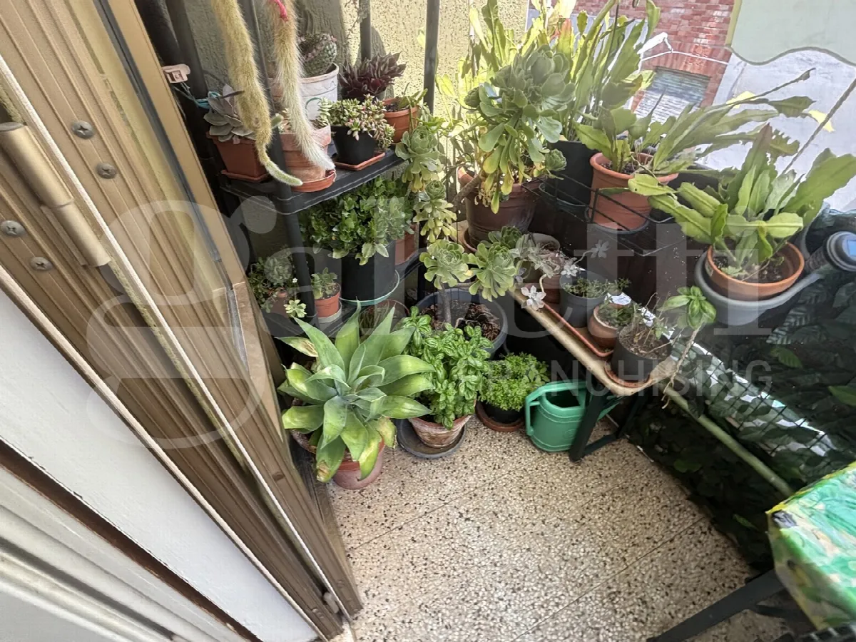 Appartamento in vendita a Massa Marittima - foto 9