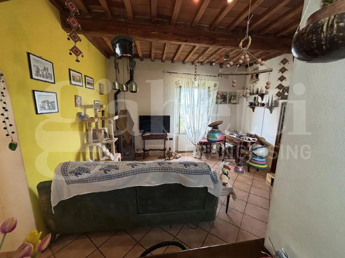 Appartamento in vendita a Massa Marittima - foto 3