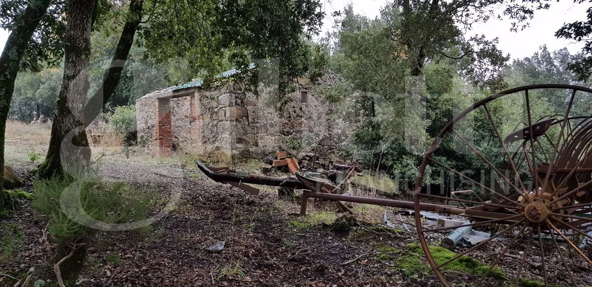 Rustico in vendita a Massa Marittima - foto 4