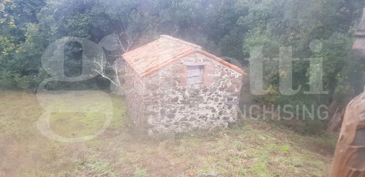 Rustico in vendita a Massa Marittima - foto 5