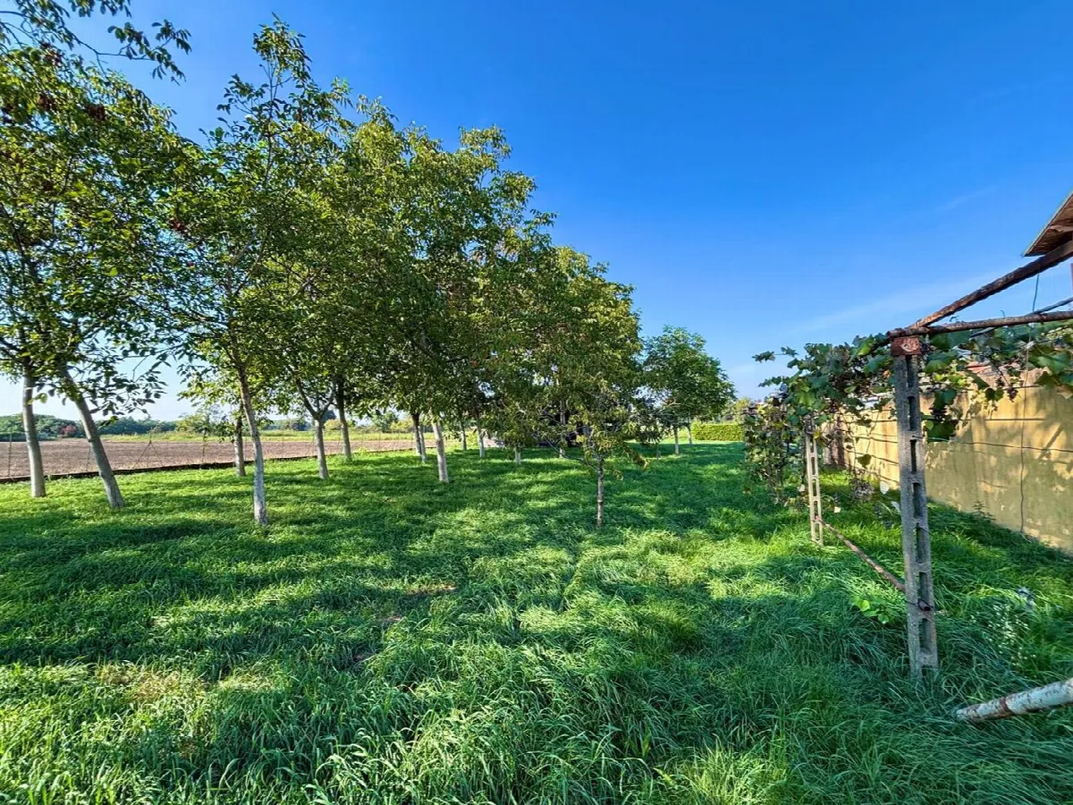 Casa bifamiliare in vendita a Corbetta - foto 2